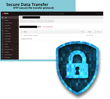 elite-call-data-transfer-security